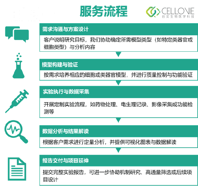 Asset 24@2x.png