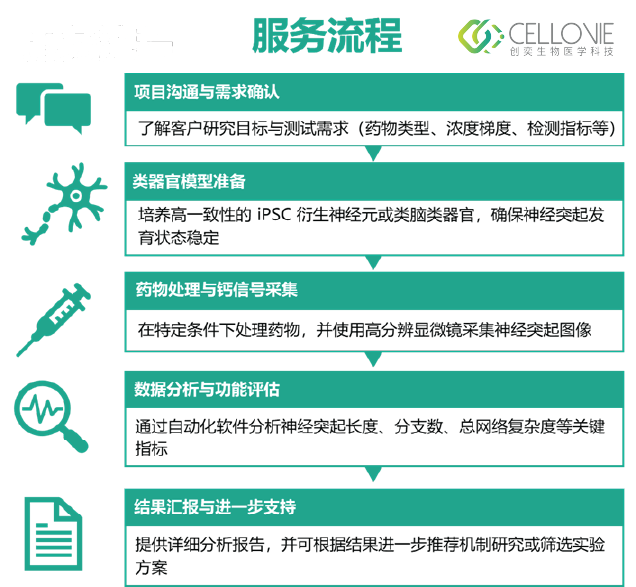 Asset 26@2x.png